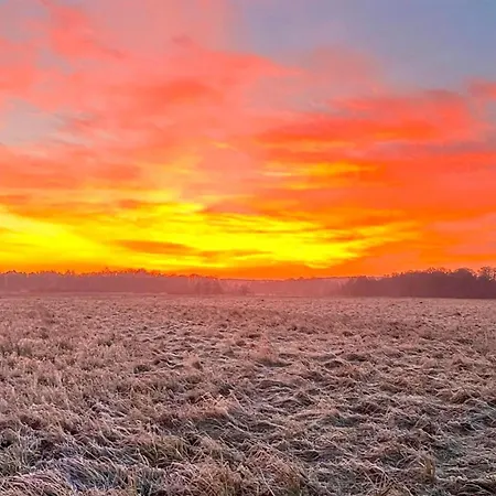 Awesome In With Wifi * Rowy